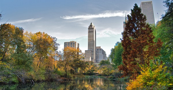 Central park-New York 