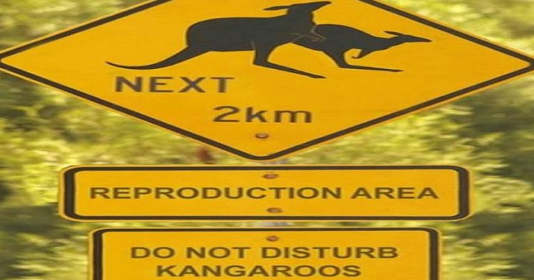 Do not disturb, Australie