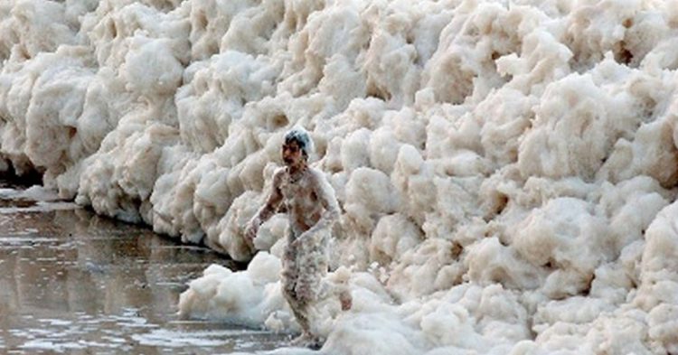 nvasion de mousse marine