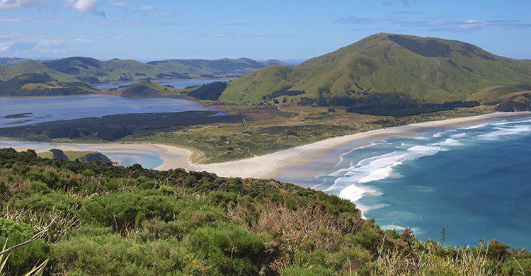 Vue sur une plage de Nouvelle Zélande (Istock)