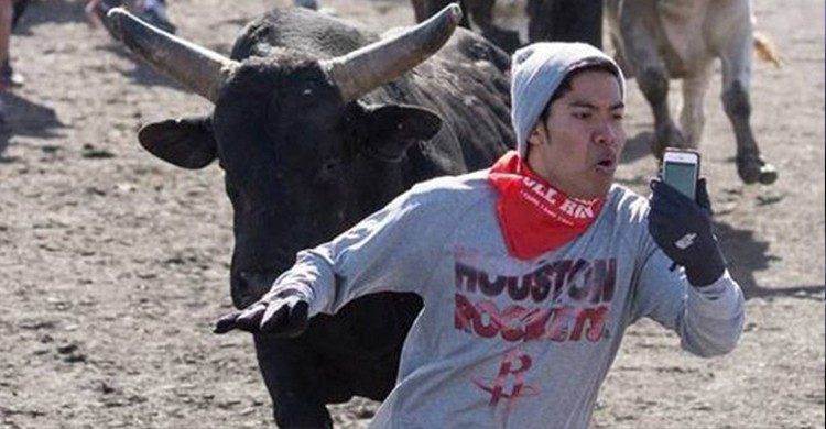 Jeune homme en train de prendre un selfie avec une vache