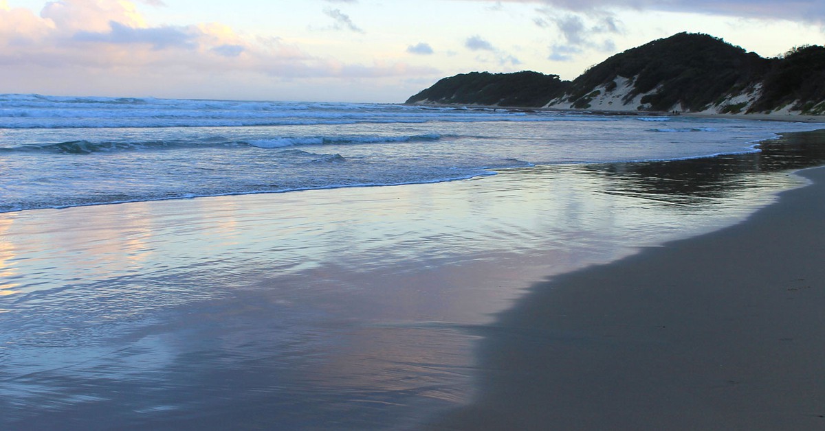 Afrique du Sud - South Africa.net