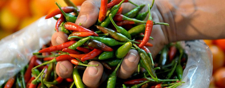 Ces pays qui piquent !