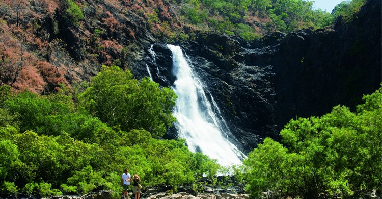 Péninsule du Cap York