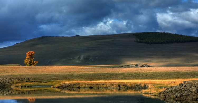 Mongolie - Flickr