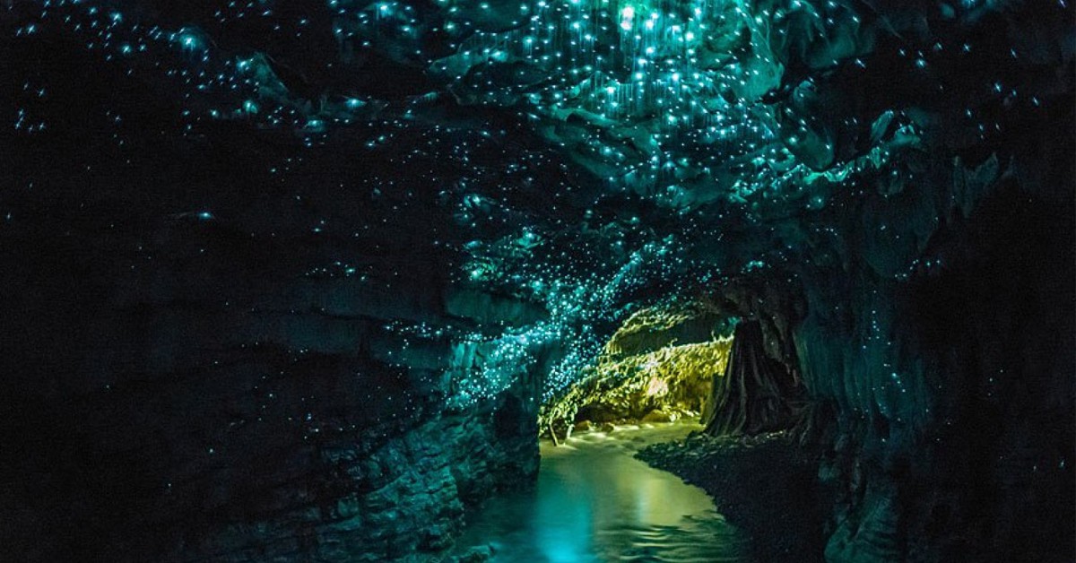 Waitomo Glowworm Cave, Nouvelle Zélande