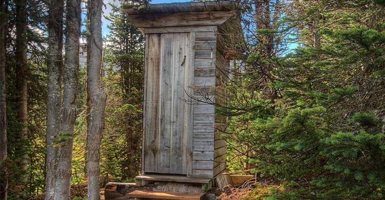 Wild toilet - Flickr John Payzant