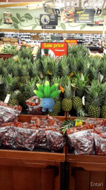 Pokémon dans un ananas - Entari 