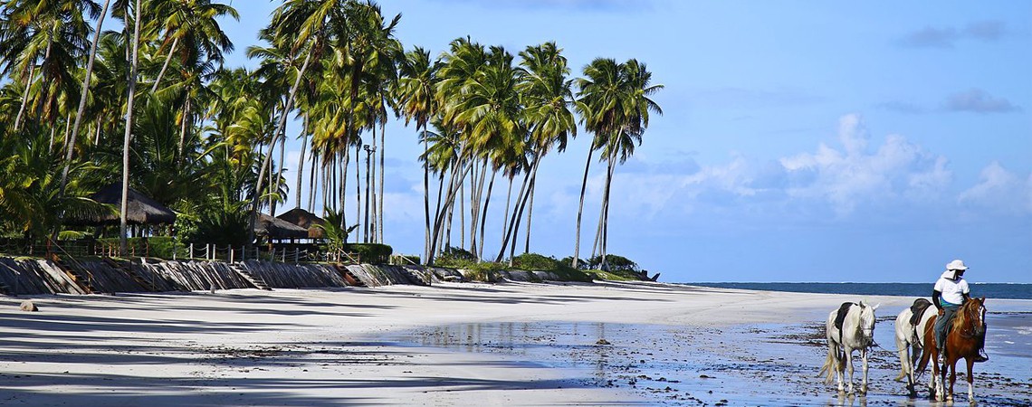 Carneiros - wikipedia