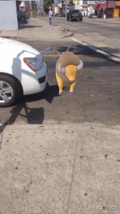 Pokémon qui traverse - MoralTruth