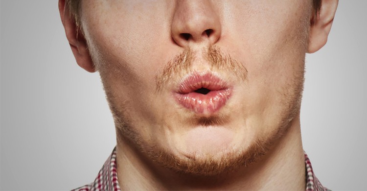 Siffler à l'intérieur - delineo