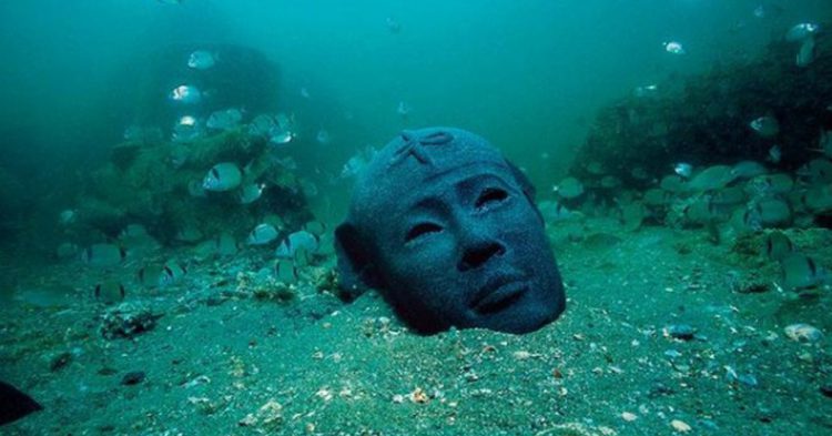 Tête de Canope dans les fonds marins (Istock)