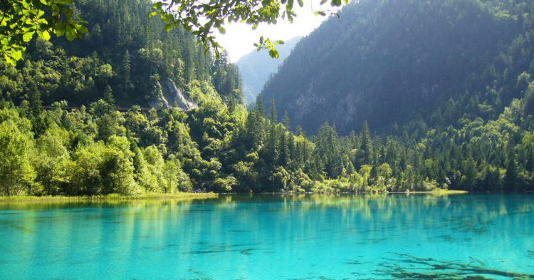 Amazonie - maxisciences.com