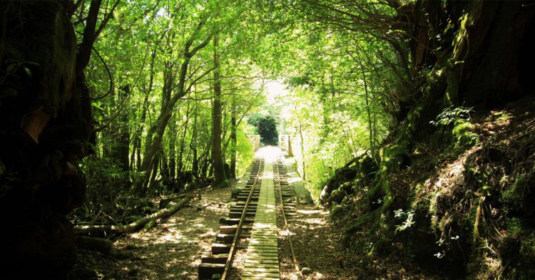 Ile de Yakushima - kantai.com