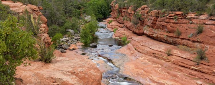 Sigue leyendo 8 toboggans naturels surprenants