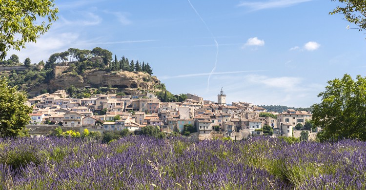 Manosque - MicheleVacchiano