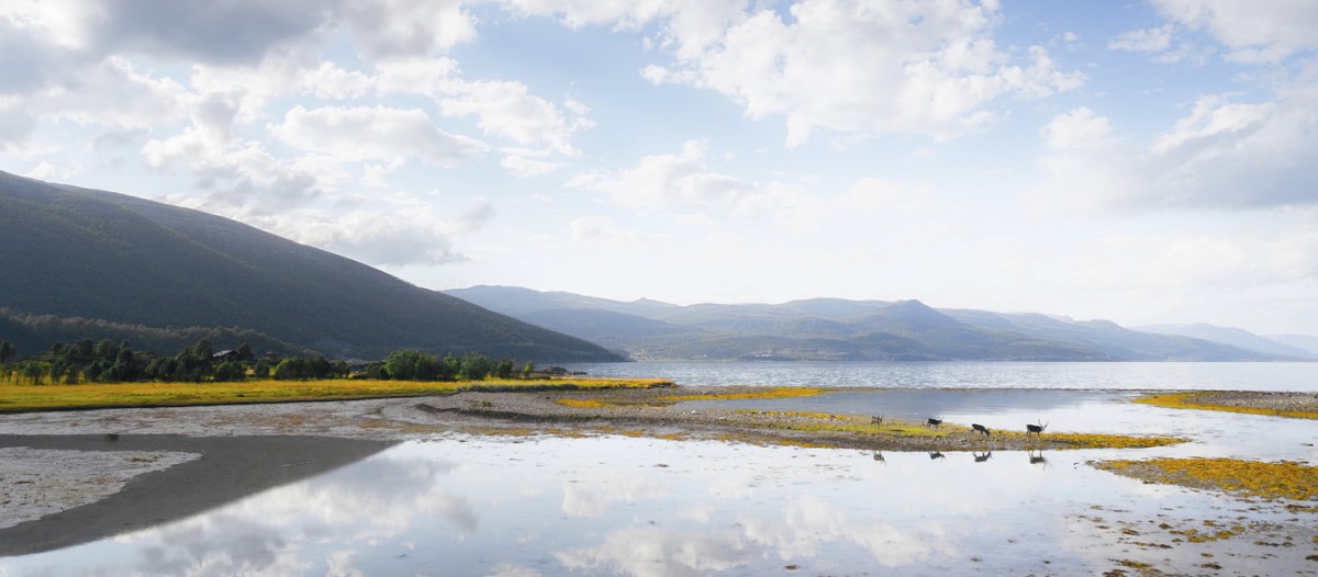 Spitzberg saison - Konstantin Lebedev