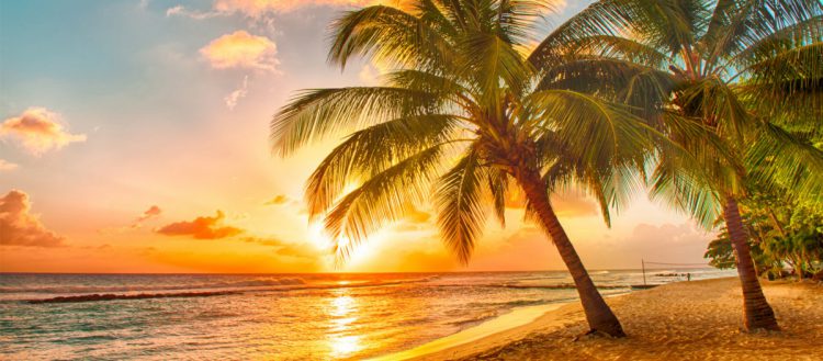 Martinique - fyletto