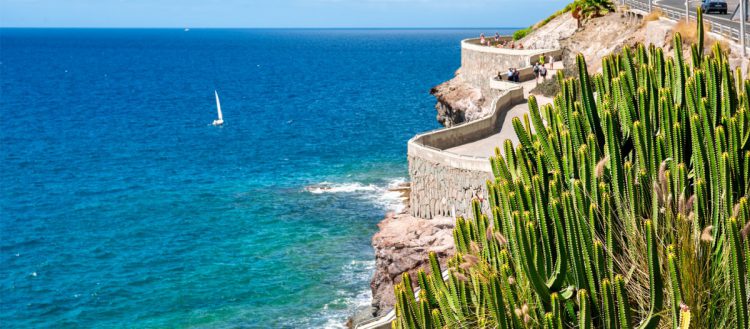 Grande Canarie - bareta