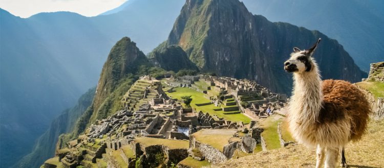 Machu Picchu - pawpo3336