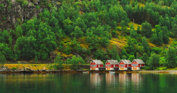 Vue des Fjords de la Mer de Norvège