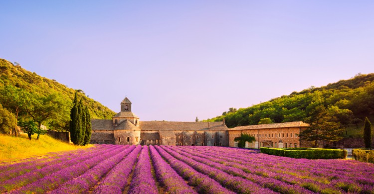 L'arrière-pays varois