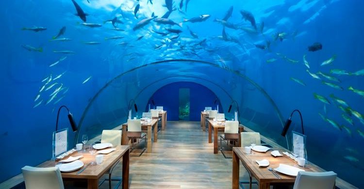 Ithaa Undersea Restaurant - Facebook