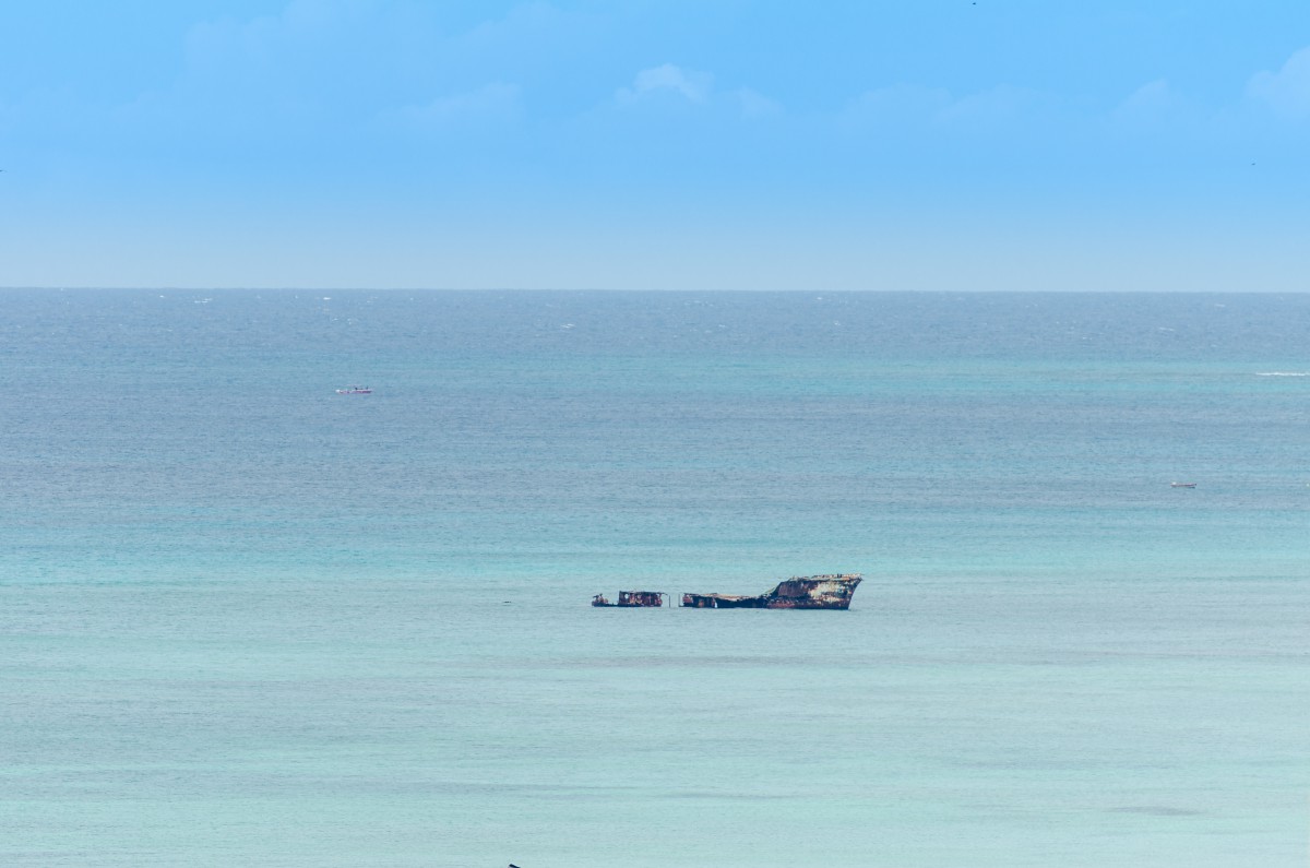 L’odyssée, la VRAIE En Janvier 1982, Steven Callahan part des Îles Canaries en destination d’Antigua-et-Barbuda (Caraïbes) à bord de son petit voilier. Le 7ème jour de voyage, le bateau est heurté par un objet non identifié (sûrement une baleine) ! En quelques minutes, il voit son navire couler. Il survivra à bord d’un canot pneumatique de moins de 1m70 de long avec pour seule alimentation du poisson (fraîchement pêché) et de l’eau douce récupérée des pluies. Il sera retrouvé 76 jours plus tard par des pécheurs guadeloupéens ! Le journal qu’il écrivit durant son périple inspira le film L’odyssée de Pi, pour lequel il sera par ailleurs embauché comme consultant.