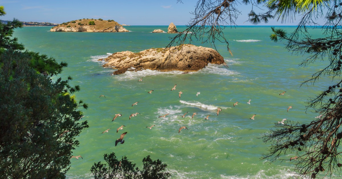 <b>Puffin Island</b><br>  Bien plus proche de chez nous, aux Pays de Galles en l'occurrence, Puffin Island est le paradis des... puffins ! ces petits oiseaux marins si mignoooons vivent tranquillement aux côtés des cormorans.