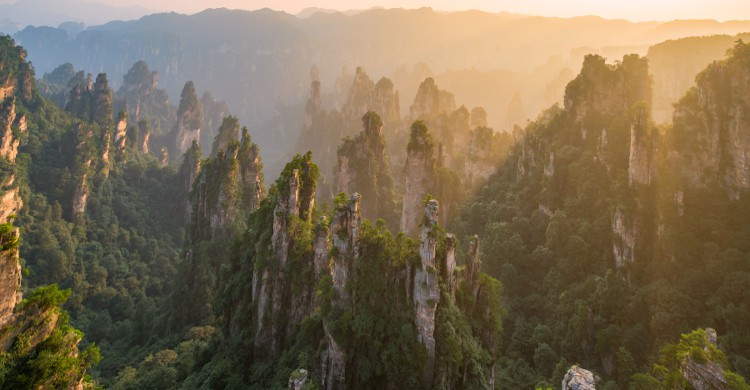 Parc naturel de la forêt de Zhangjiajie