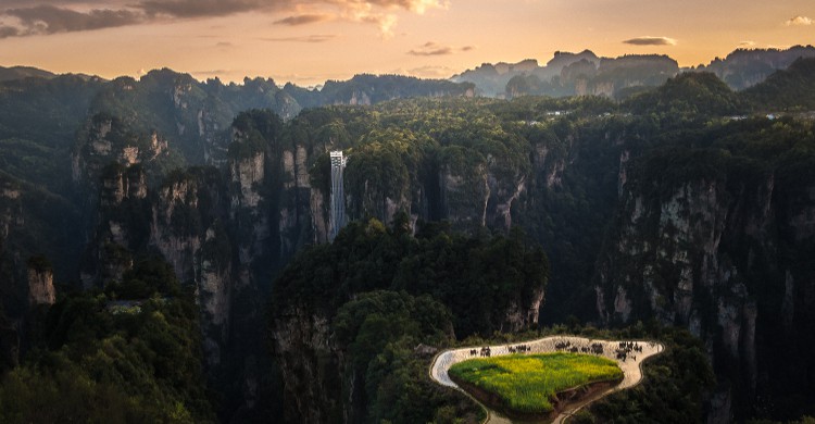 Parc naturel de la forêt de Zhangjiajie