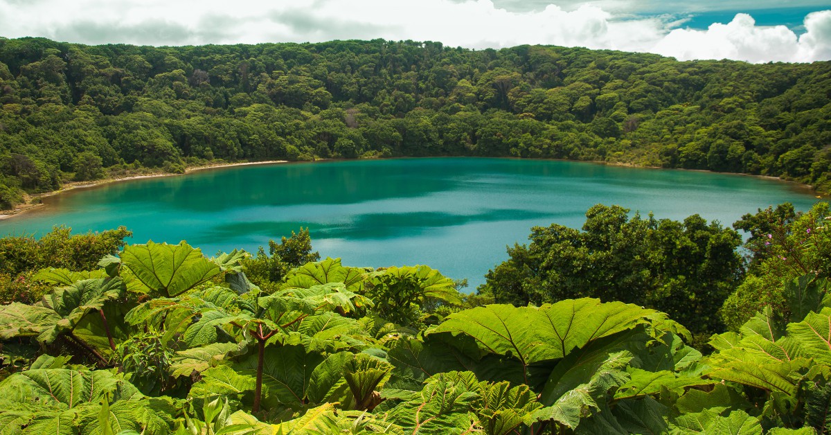 Le Costa Rica Pura Vida ! Le Costa Rica est le paradis des amoureux de la nature car le pays est réputé dans le monde entier pour être l'un où la faune et la flore sont les plus variées et protégées. Mais le Costa Rica est également un spot de choix pour profiter d'un soleil généreux, d'une eau de baignade avoisinant les 28°C et d'une température extérieure affichant une bonne trentaine de degrés.