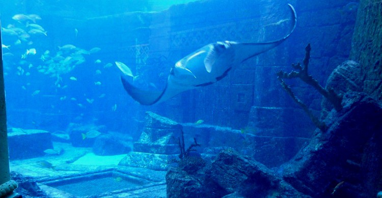 Port Royal, Jamaique