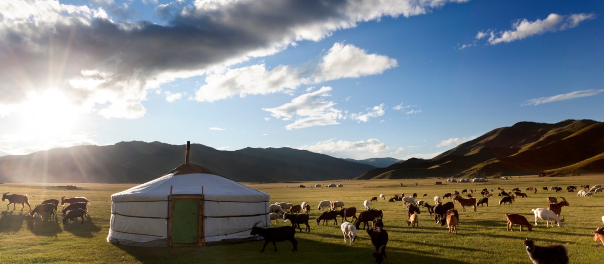 Steppes de Mongolie