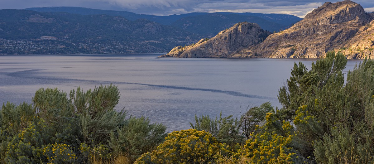 Summerland, USA Envolez-vous pour la Californie et profitez de cette très charmante maison à louer à louer, à 187€ par nuit. Un beach cottage avec tout le confort nécessaire qui est situé à quelques encablures de Santa Barbara. La vue sur le Pacifique est splendide, tout comme le cadre.