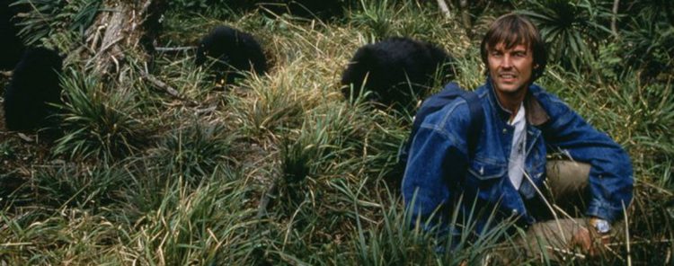 Sigue leyendo Nicolas Hulot, le Ministre aventurier de l’extrême