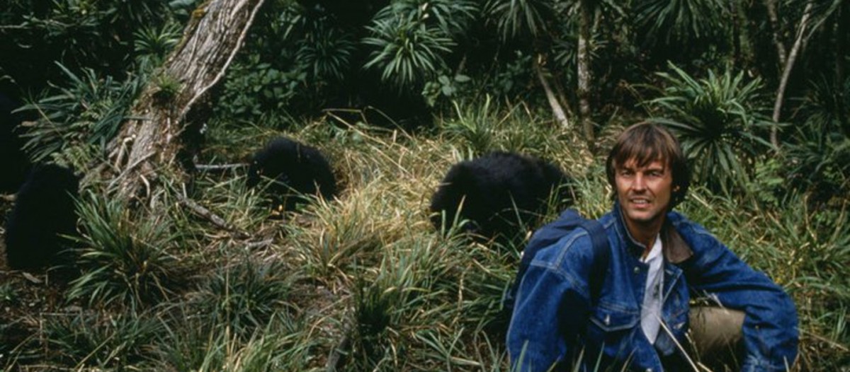 Nicolas Hulot au Rwanda