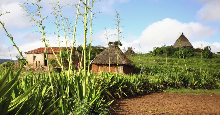 Timor Oriental (iStock
