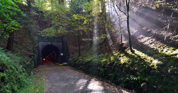 Sigue leyendo Les 5 plus belles pistes cyclables de France