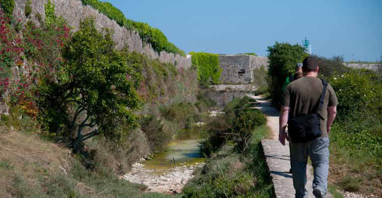 Saint Vaast, Avenue verte (Flickr)