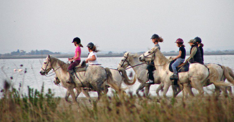 Randonnée à cheval, Camargue (Reflected Serendipity- Flickr)