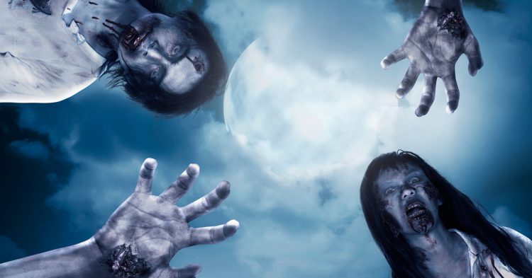 Une nuit d'Halloween pas comme les autres ..