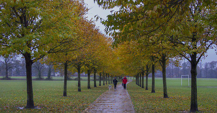 Vacances Toussaint, automne (Flickr)