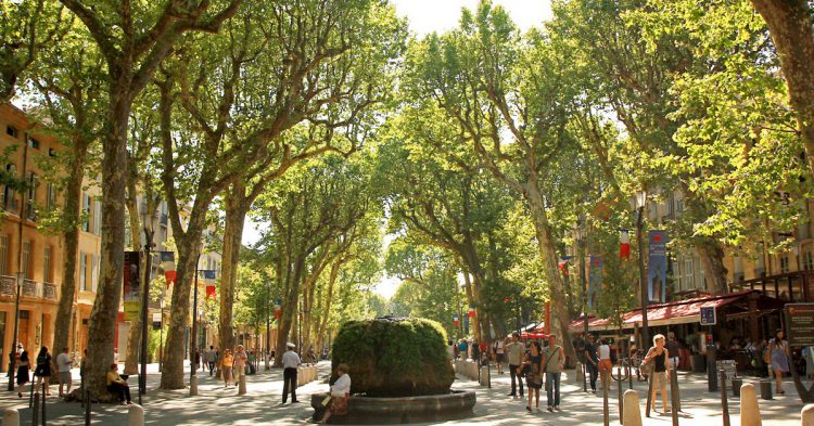 Cours Mirabeau, Aix-en-Provence ( Andrea Schaffer - Flickr)