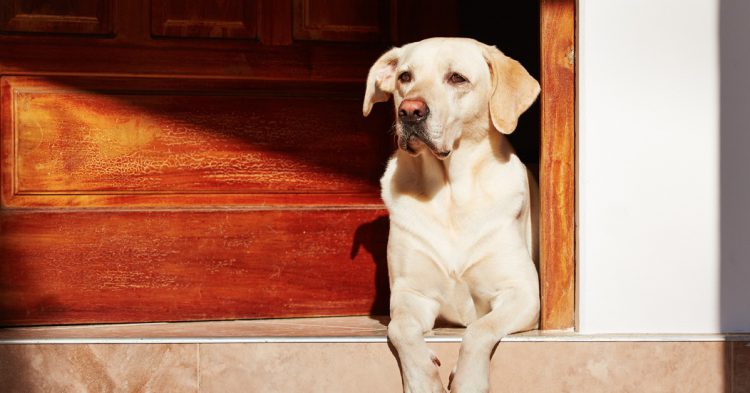 Voir midi à sa porte (Istock)
