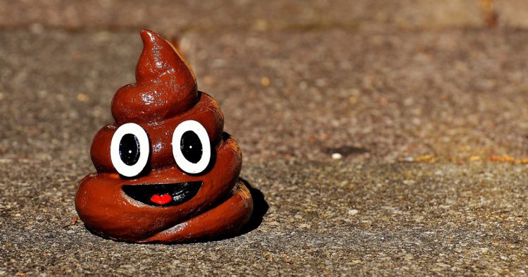 Va caguer ! (Pixabay)