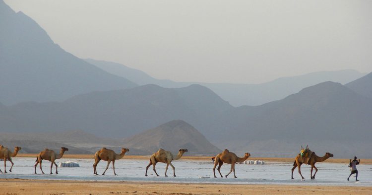 Lac Assal, Djibouti (Istock)