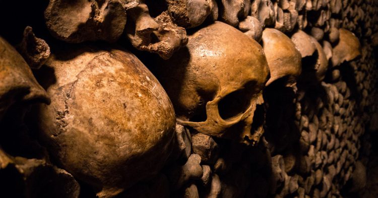 Les catacombes de Paris (Istock)