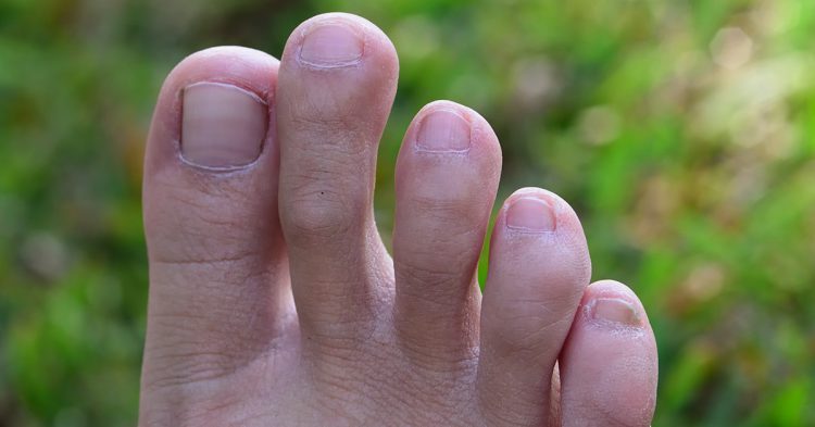 Orteil (Istock)