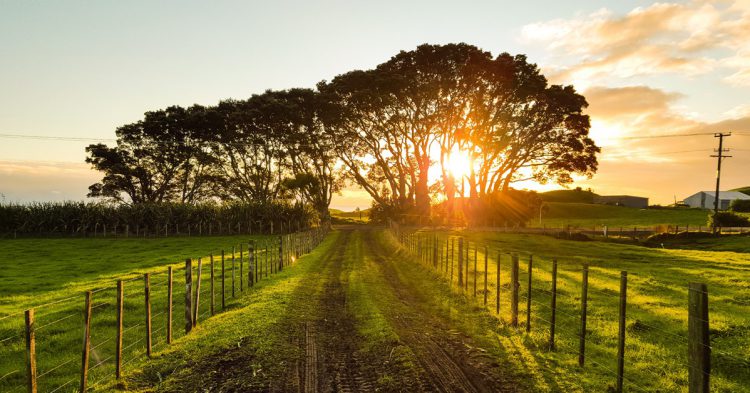 Taranaki, Nouvelle Zélande (Unsplash)
